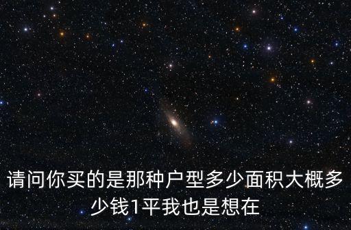 請問你買的是那種戶型多少面積大概多少錢1平我也是想在