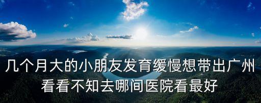 幾個月大的小朋友發育緩慢想帶出廣州看看不知去哪間醫院看最好