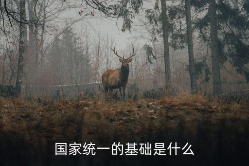 國家統一，國家統一的基礎是什么