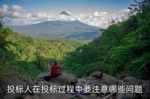 投標(biāo)注意事項，投標(biāo)人在投標(biāo)過程中要注意哪些問題