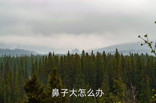 鼻子大怎么辦