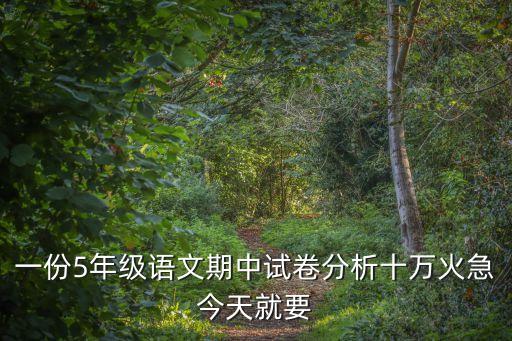 一份5年級語文期中試卷分析十萬火急今天就要
