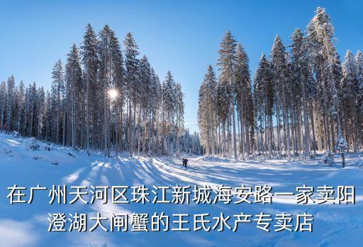 廣州天河水產銷售經理，廣州天河工作