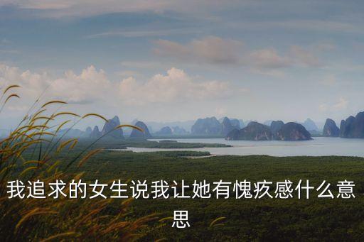 我追求的女生說我讓她有愧疚感什么意思