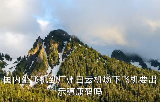 國內坐飛機到廣州白云機場下飛機要出示穗康碼嗎