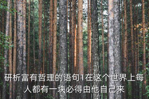 研析富有哲理的語(yǔ)句1在這個(gè)世界上每人都有一塊必得由他自己來(lái)