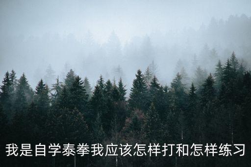 我是自學(xué)泰拳我應(yīng)該怎樣打和怎樣練習(xí)