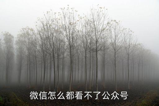 微信公眾號打不開，微信怎么都看不了公眾號