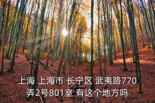 上海市祥賓二村，上海 上海市 長寧區 武夷路770弄2號801室 有這個地方嗎