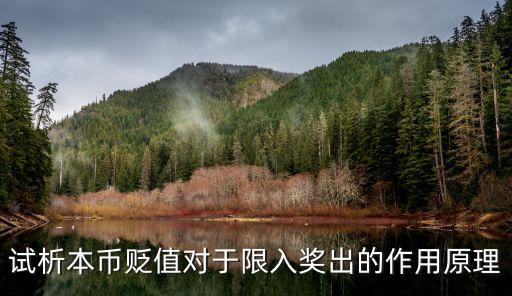 試析本幣貶值對于限入獎出的作用原理
