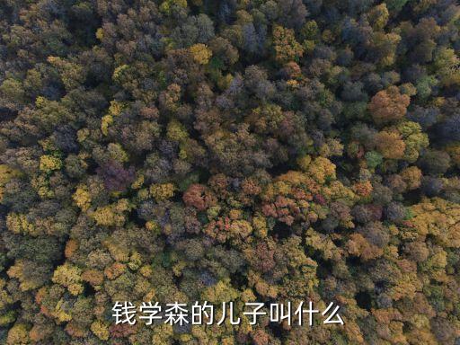 錢學(xué)森子女，海瀾之家董事長(zhǎng)有幾個(gè)子女