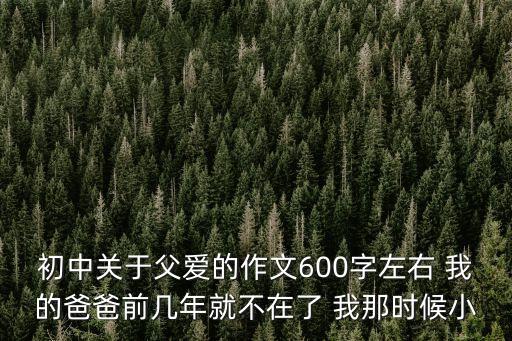 父親作文600字，寫父親的作文600字寫的好
