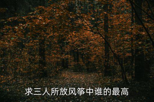求三人所放風箏中誰的最高