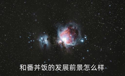 和番丼飯的發展前景怎么樣