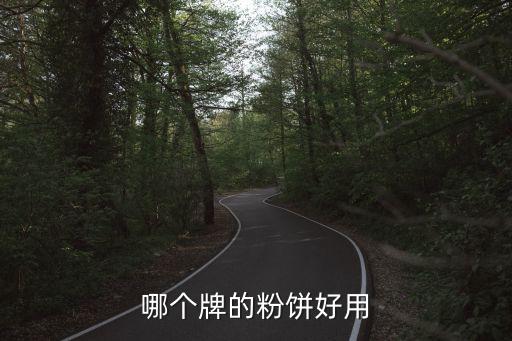 哪個牌的粉餅好用
