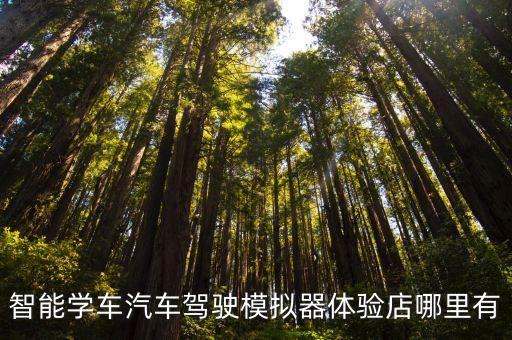 智能學車汽車駕駛模擬器體驗店哪里有