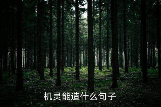 機(jī)靈能造什么句子