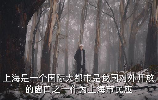 上海市新階層專題建言，新上海新上海人您最關心什么