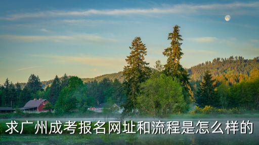 求廣州成考報(bào)名網(wǎng)址和流程是怎么樣的