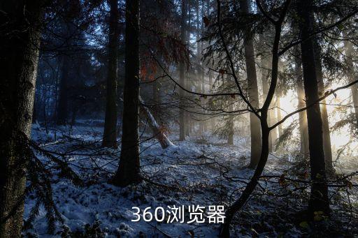 360瀏覽器網(wǎng)頁，360瀏覽器