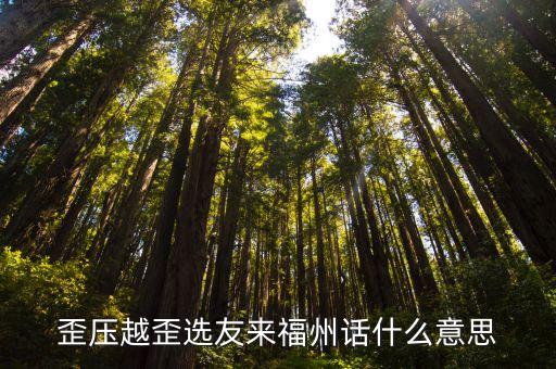 歪壓越歪選友來福州話什么意思