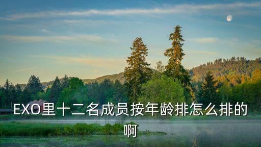 EXO里十二名成員按年齡排怎么排的啊
