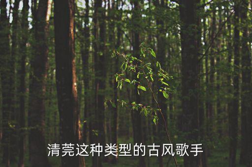 清莞這種類型的古風(fēng)歌手