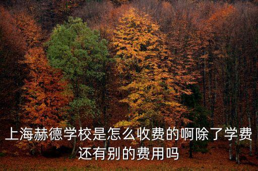 上海市赫德國(guó)際，上海赫德一個(gè)班有多少個(gè)學(xué)生
