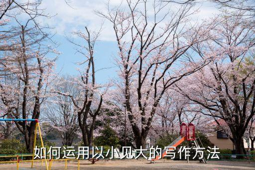 如何運(yùn)用以小見(jiàn)大的寫(xiě)作方法