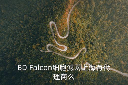上海市環品篩網公司，上海虹口花園路66弄嘉和國際大廈1號樓1709室是什么公司