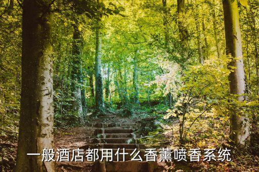 一般酒店都用什么香薰噴香系統(tǒng)