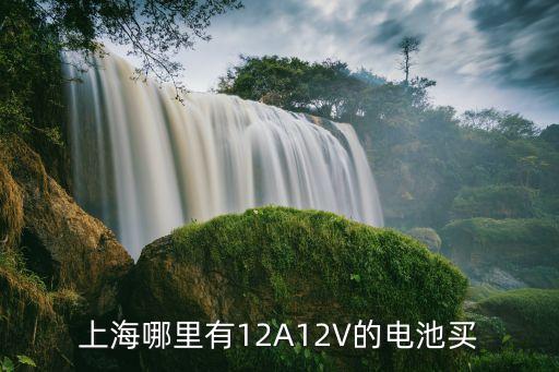 上海市鋰電池市場，請問上海哪里有賣鋰電池的市場嗎最好是普陀區的急