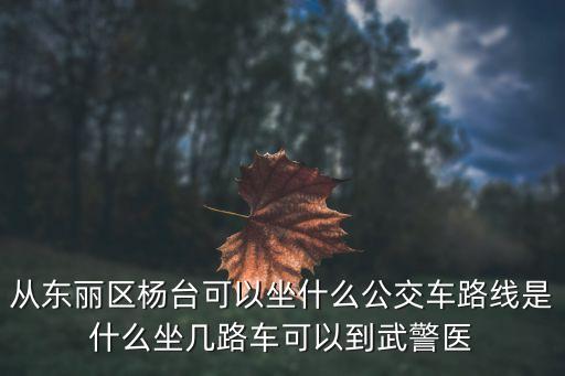 廣州紅十字會水上救援總隊公告，微創保膽取石術哪個醫院做的比較好