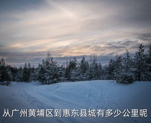 從廣州黃埔區(qū)到惠東縣城有多少公里呢