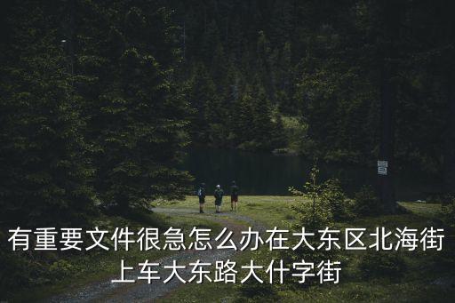 有重要文件很急怎么辦在大東區北海街上車大東路大什字街