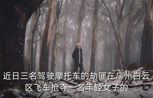 廣州小偷真實視頻，手機在廣州公交車上被高手偷了