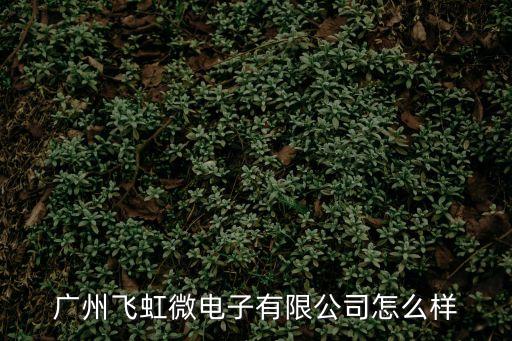 廣州飛虹微電子有限公司怎么樣