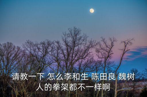 請教一下 怎么李和生 陳田良 魏樹人的拳架都不一樣啊