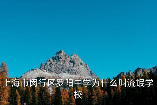 上海市羅陽(yáng)中學(xué)魏梓馨，上海市閔行區(qū)羅陽(yáng)中學(xué)為什么叫流氓學(xué)校