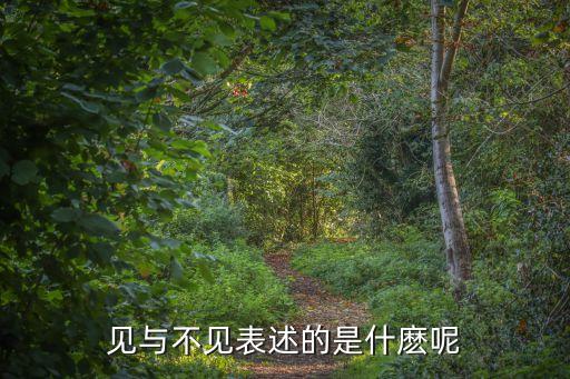 見與不見，見與不見 什么意思