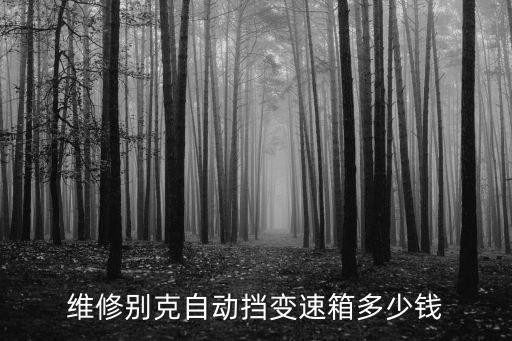 廣州花都自助洗車在哪，廣州哪有電腦自動洗車場