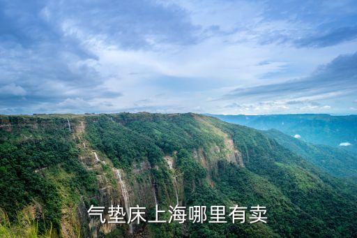 車用氣墊床上海市有實體店購買嗎，上海徐家匯淮海路 附近有買INTEX充氣床墊的專柜嗎