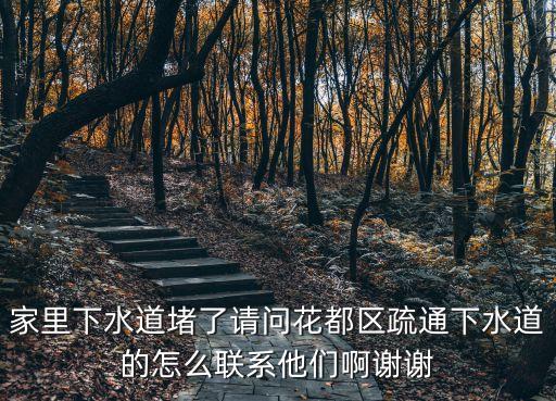 家里下水道堵了請問花都區(qū)疏通下水道的怎么聯(lián)系他們啊謝謝