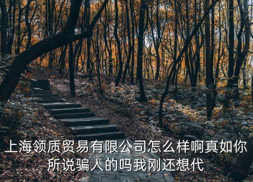 上海市領質貿易有限公司，上海領質貿易有限公司 怎么樣 衣服好賣嗎