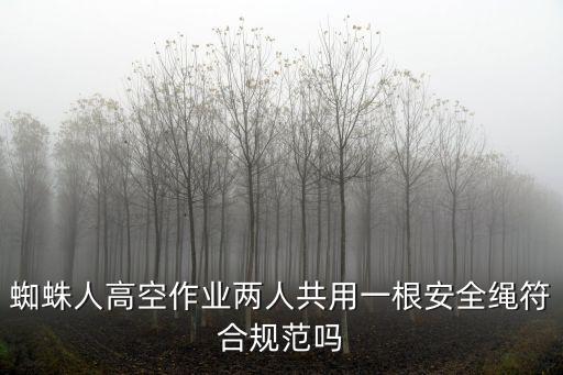 上海市蜘蛛人系列高空作業，從事高空作業的工人蜘蛛人工資是多少
