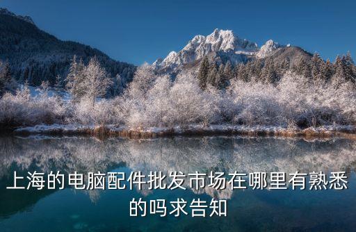 上海的電腦配件批發(fā)市場(chǎng)在哪里有熟悉的嗎求告知