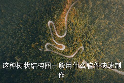 這種樹狀結構圖一般用什么軟件快速制作
