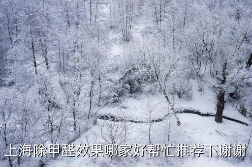 上海除甲醛效果哪家好幫忙推薦下謝謝