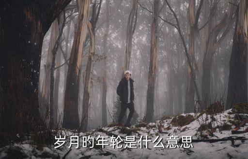 時光的年輪，歲月旳年輪是什么意思