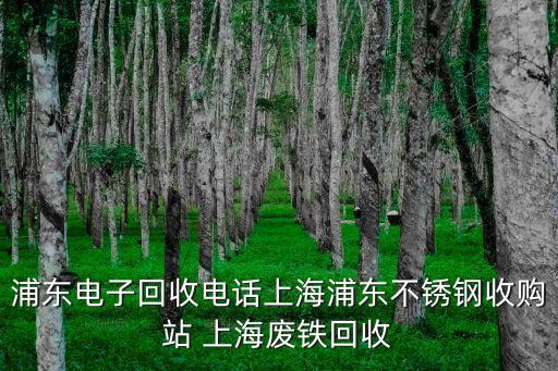上海市報廢金屬零件銷毀拆解，上海報廢汽車拆解廠在哪里